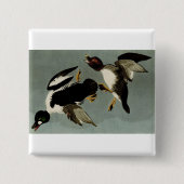 Goldaugenente Button (Vorderseite)