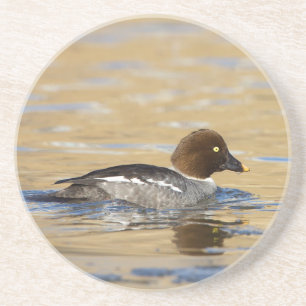 Goldaugenente Getränkeuntersetzer