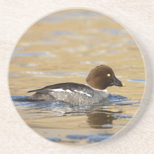 Goldaugenente Getränkeuntersetzer (Vorne)
