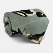 Goldaugenente Krawatte (Gerollt)