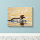 Goldaugenente Leinwanddruck (Insitu (Holzboden))