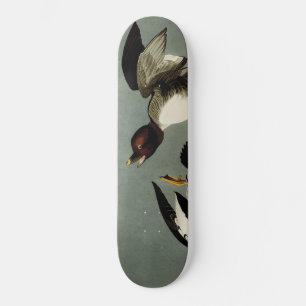 Goldaugenente Skateboard