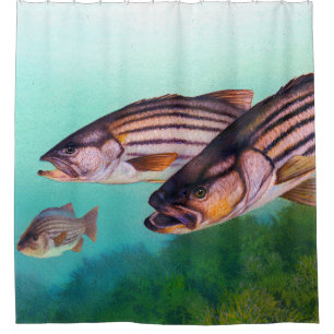 Goldbarsch Duschvorhang