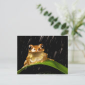 Goldbaumfrosch im Regenbild Postkarte (Stehend Vorderseite)