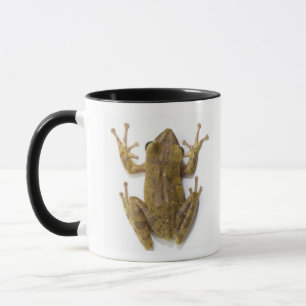 Goldbaumfrosch Tasse