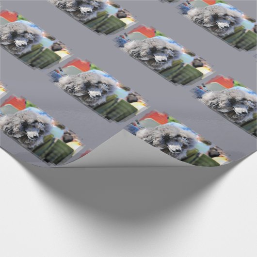 Goldberg - Chanel - Standardpudel Geschenkpapier (Ecke)