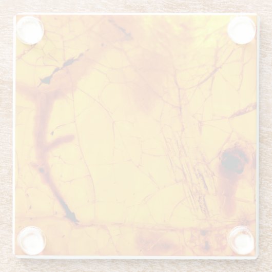 Goldbernstein-Stein Glasuntersetzer (Rückseite)