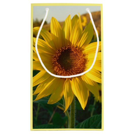 Goldblume Kleine Geschenktüte (Rückseite)