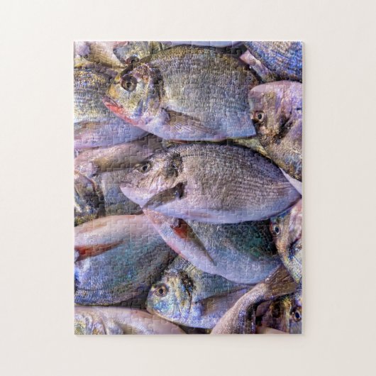 Goldbrasse Puzzle (Vertikal)