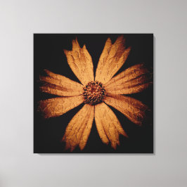 Goldcosmos-Blume auf Schwarz Leinwanddruck