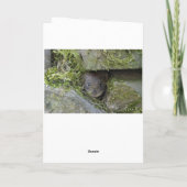 Goldcreme in Waldkarte Karte (Rückseite)