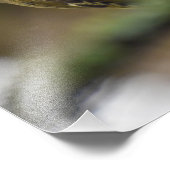 Goldcrest Fotodruck (Ecke)