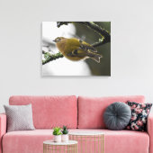 Goldcrest Leinwanddruck (Insitu (Wohnzimmer))