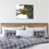 Goldcrest Leinwanddruck (Insitu (Schlafzimmer))