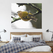 Goldcrest Leinwanddruck (Insitu (Schlafzimmer))