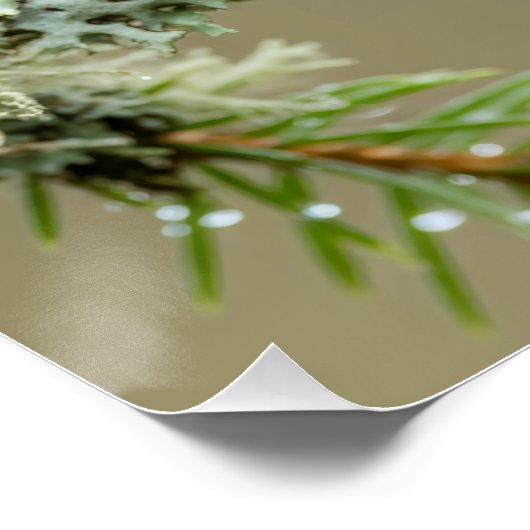 Goldcrest Macro Wildlife Poster (Ecke)