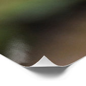 Goldcrest Poster (Ecke)