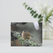 Goldcrest Postkarte (Stehend Vorderseite)