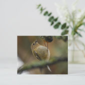 Goldcrest Postkarte (Stehend Vorderseite)