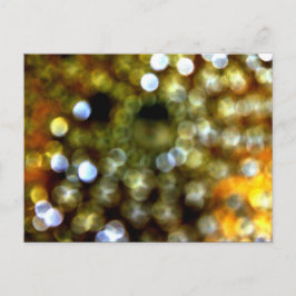 Golddesign Einladungspostkarte