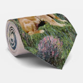 Golden 1 - An der Seine Krawatte (Gerollt)