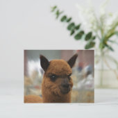 Golden Alpaca Postkarte (Stehend Vorderseite)