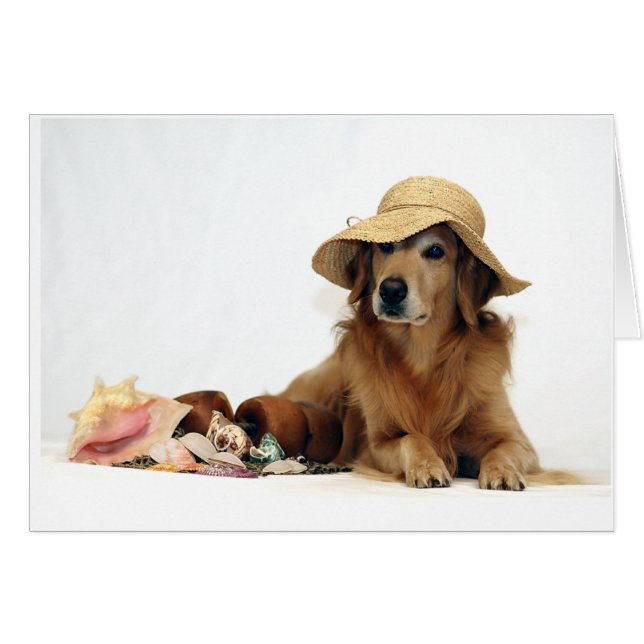 Golden am Strand (Vorderseite (Horizontal))