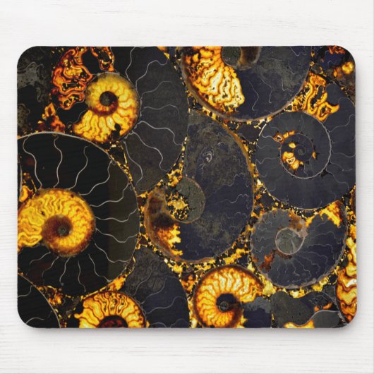 Golden Amber Schwarz Nautilus Muschel Muster, Foss Mousepad (Vorne)