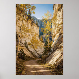 Golden Aspen Gorge Wilderness Gebiet Poster