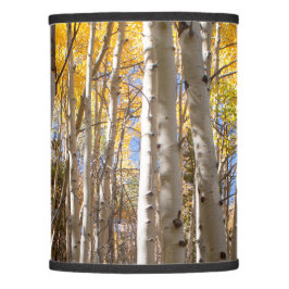 Golden Aspen Trees