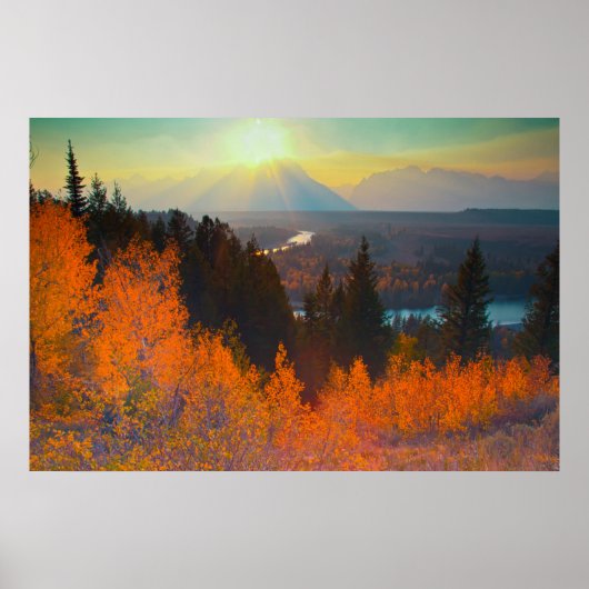 Golden Aspens Above Snake River At Sunset Poster (Vorne)