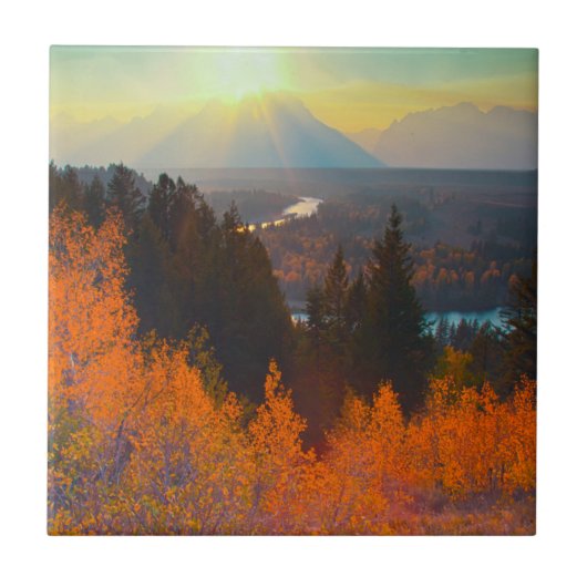 Golden Aspens Oberhalb der Schlange Fluss bei Sonn Fliese (Vorderseite)