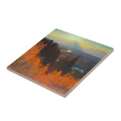 Golden Aspens Oberhalb der Schlange Fluss bei Sonn Fliese (Seite)