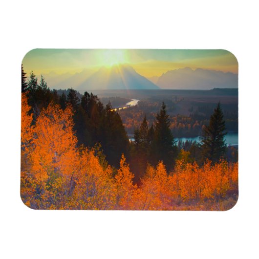 Golden Aspens Oberhalb der Schlange Magnet (Horizontal)