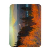 Golden Aspens Oberhalb der Schlange Magnet (Vertikal)