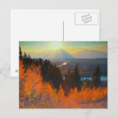 Golden Aspens Oberhalb der Schlange Postkarte (Vorne/Hinten)