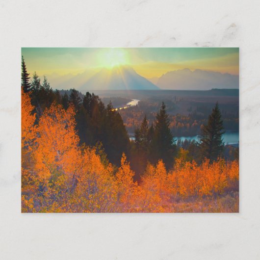 Golden Aspens Oberhalb der Schlange Postkarte (Vorderseite)