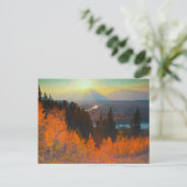 Golden Aspens Oberhalb der Schlange Postkarte (Stehend Vorderseite)