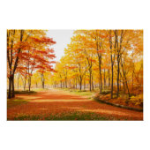 Golden Autumn Tree-lined Path Poster (Vorderseite)