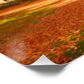 Golden Autumn Tree-lined Path Poster (Ecke)