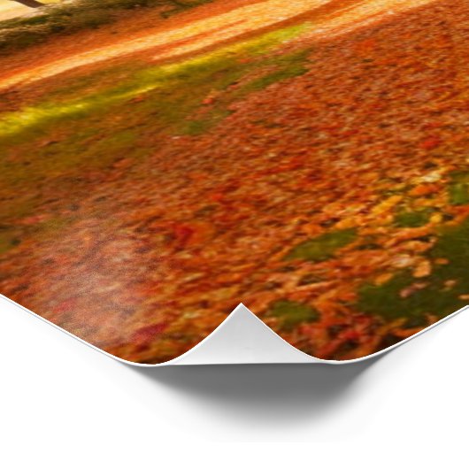 Golden Autumn Tree-lined Path Poster (Ecke)
