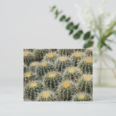 Golden Barrel Cacti in einem Kinderzimmer. Postkarte (Stehend Vorderseite)