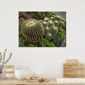 GOLDEN BARREL CACTI POSTER (Küche)