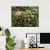 GOLDEN BARREL CACTI POSTER (Heimbüro)
