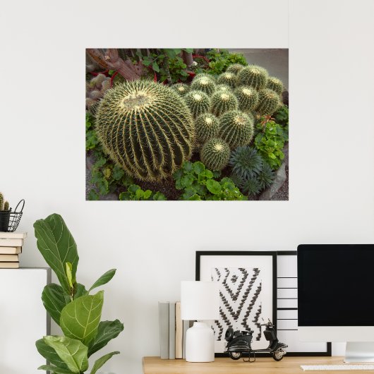 GOLDEN BARREL CACTI POSTER (Heimbüro)