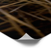 Golden Barrel Cactus Poster (Ecke)