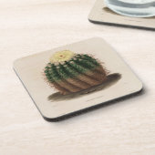 Golden Barrel Cactus Untersetzer (Linke Seite)