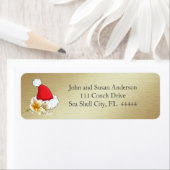 Golden Beach Tropical Frohe Weihnachtsansprache (Insitu)