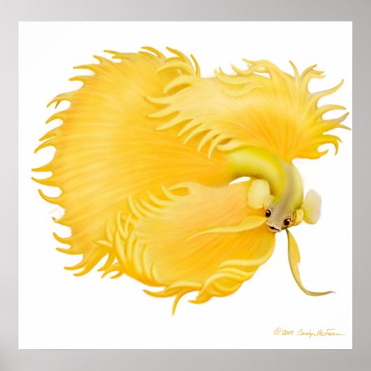 Golden Betta Fish Poster (Vorne)