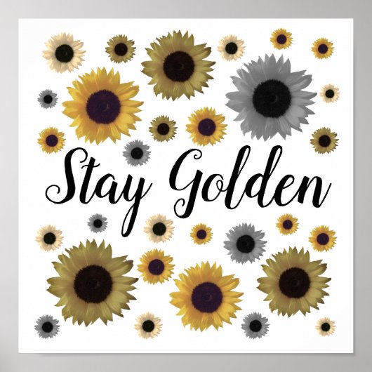 Golden bleibe, Sonnenblume Poster (Vorne)